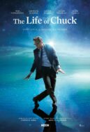 Anmeldelse: «The Life of Chuck» – Stephen King-filmatisering fylt av mystikk spør hva som skjer når vi dør