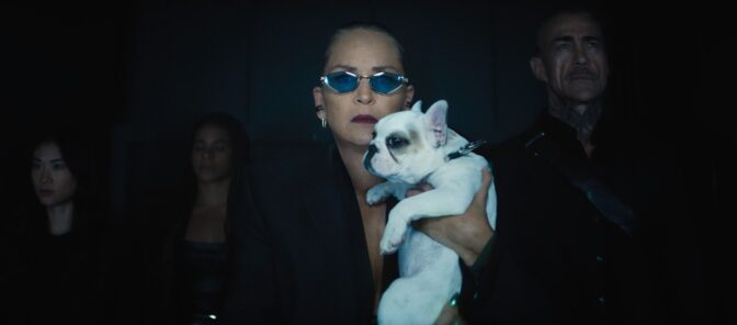 Ingen kødder med Sharon Stone i "Nobody 2