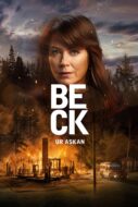 Anmeldelse: &laquo;Beck – Opp av asken&raquo; – Spennende underholdning i en stram Beck-film