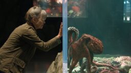 Anmeldelse: «Remarkably Bright Creatures» – Hjemmekoselig og filosofisk når en klok blekksprut forandrer menneskeliv