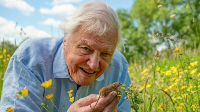 David Attenborough i BBC-dokumentaren «Wild London».
