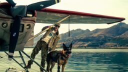 Elsker du hunder? Da vil du se Brad Pitts nye thriller «Heart of the Beast»