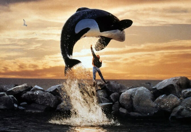 «Free Willy»