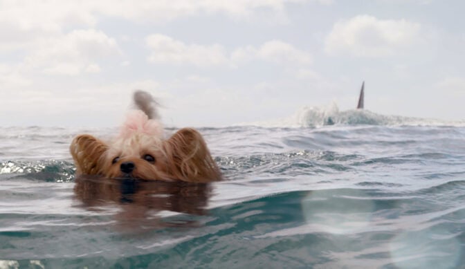Lille Pippin er blant dem som må svømme for livet i «The Meg»!