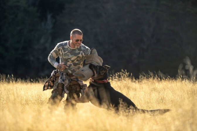 Brad Pitt og hunden Uber i «Heart of the Beast».